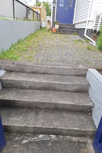 Betongtrapp og gangvei i belegningsstein, grønn av mose og ugress